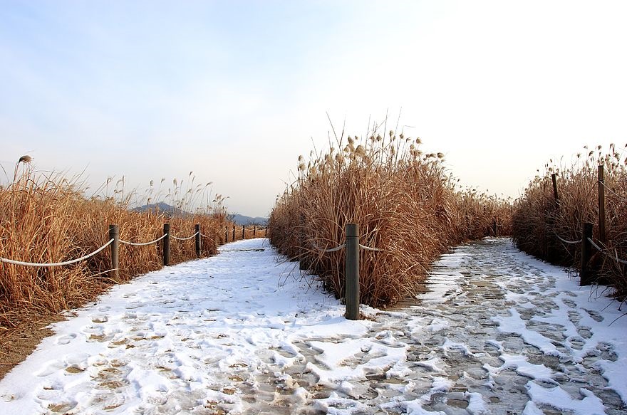 Haneul Park Winter