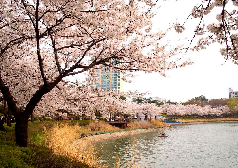 Seokchon-Lake-Park-romantic spots in seoul