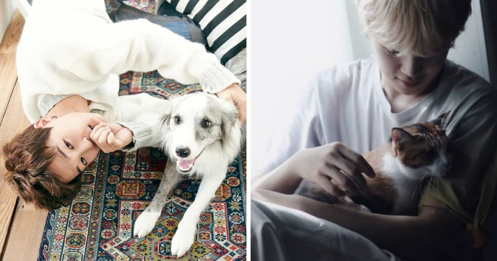 bts jimin with dogs