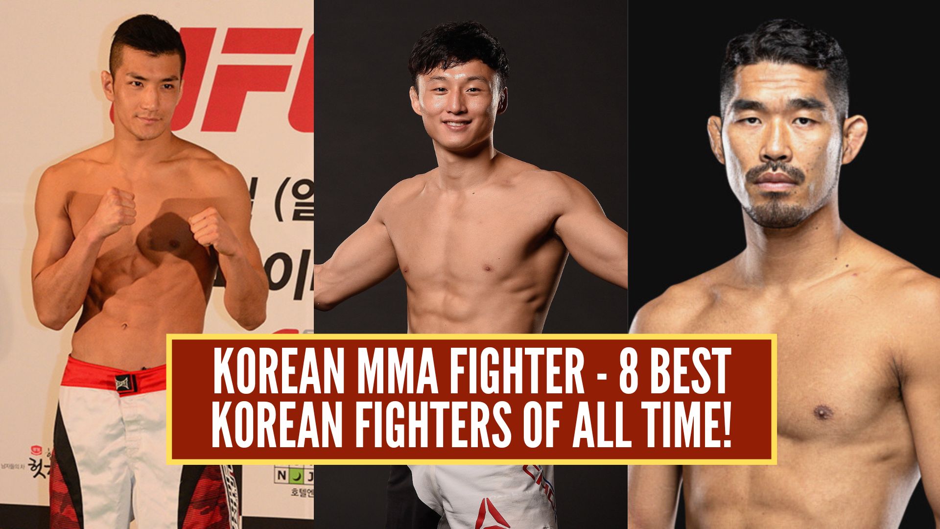 Korean MMA Fighter